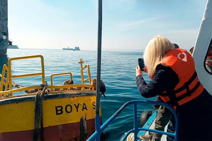 Costa Central de Chile