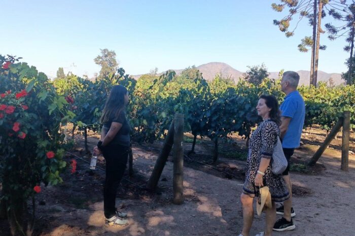 Wine Valleys of Chile