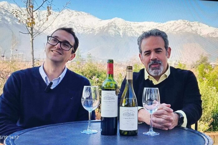 Valles del Vino de Chile
