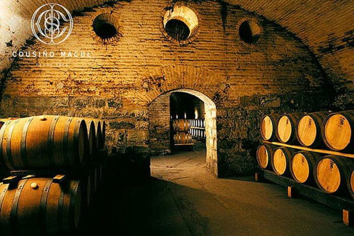 Wine Valleys of Chile