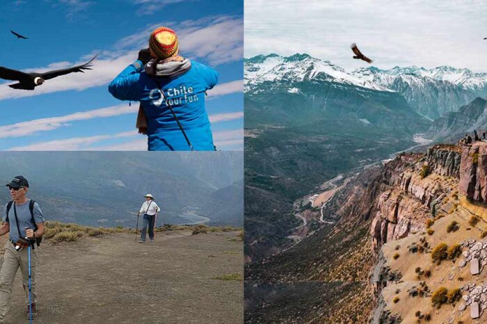 Cajón del Maipo