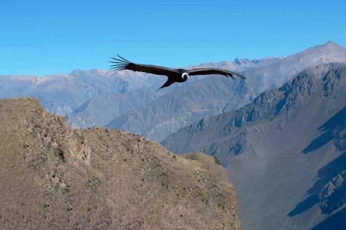 Cajón del Maipo Privado