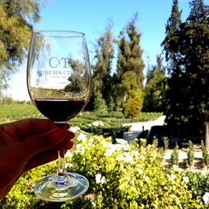 Viña Concha y Toro Chile