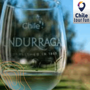 Viña Undurraga Chile