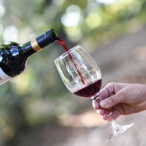 Tour Viña Cousiño Macul desde Santiago con degustación de vino premium en Chile