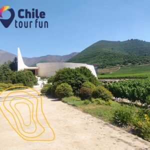 Tour Errazuriz Viñedo Chile