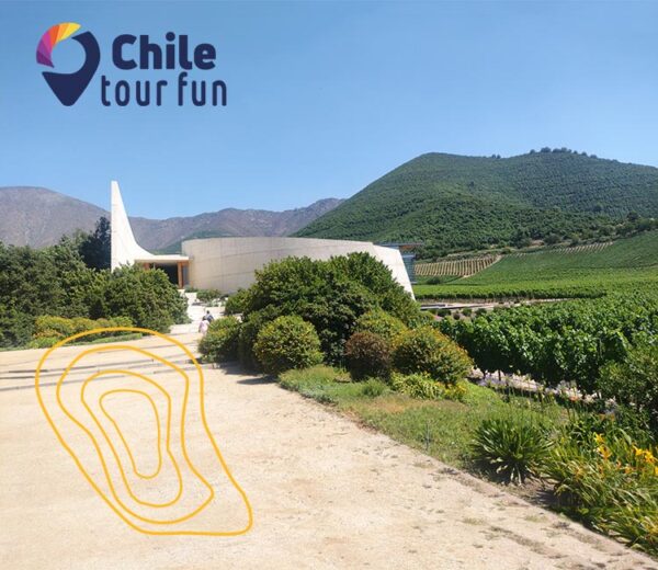 Tour Errazuriz Viñedo Chile