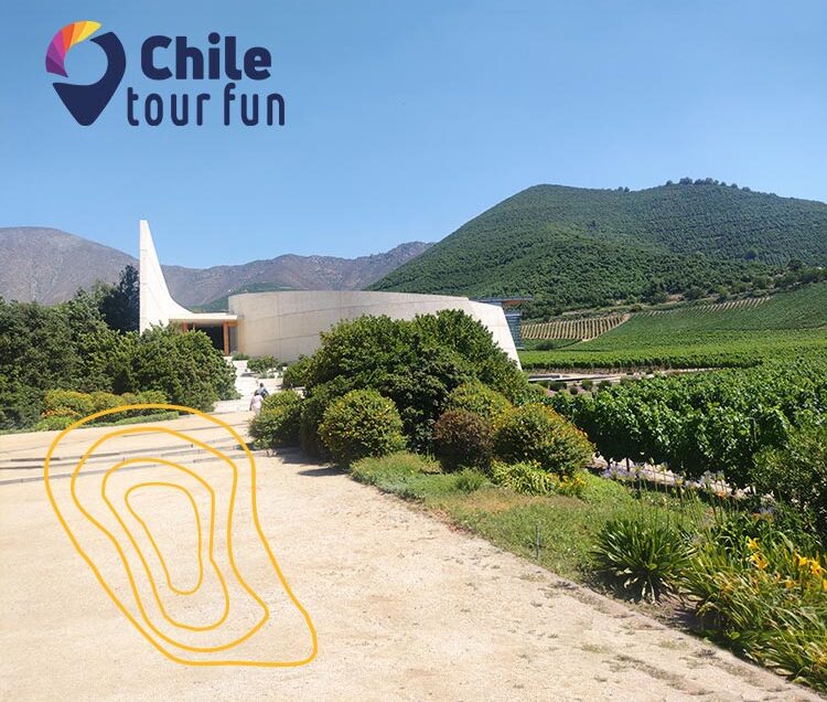 Tour Viña Errazuriz Chile