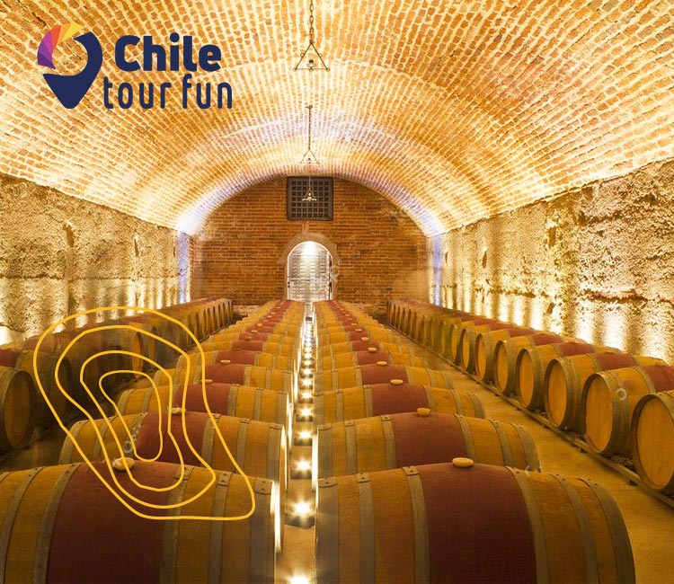 Ruta del Vino en Chile