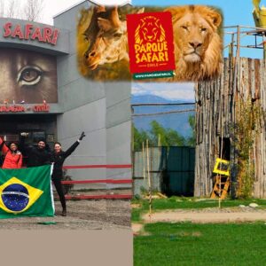 Parque Safari Rancagua