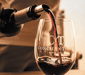 Viña Concha y Toro
