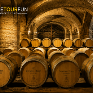Bodega de Vinos – Tour Viña Santa Rita y Concha y Toro