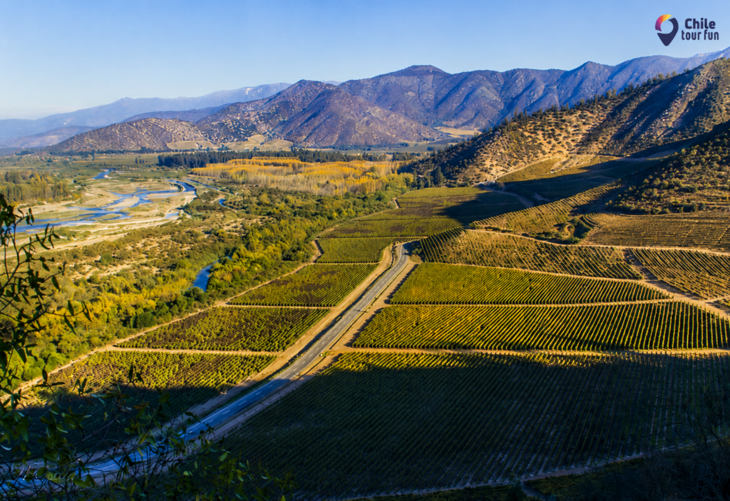Viñedos del Valle del Maipo con montañas de los Andes en Chile