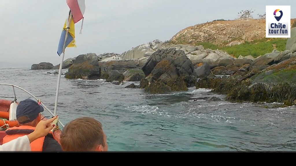 Navegación desde Zapallar hacia Isla Pingüinos de Cachagua durante una excursión privada desde Santiago