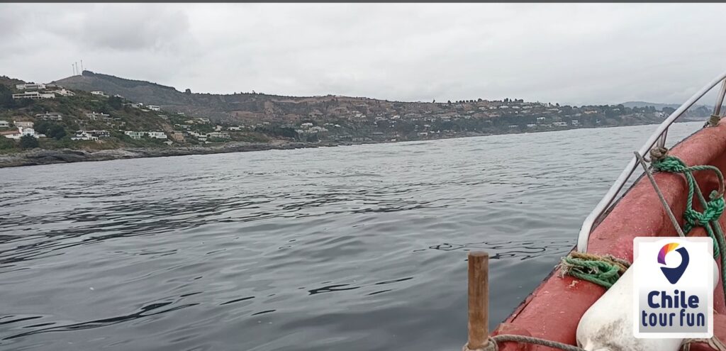Navegación en bote por la costa de Zapallar hacia la Isla de los Pingüinos de Cachagua