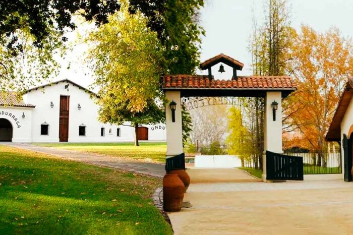 Viña Undurraga y Concha y Toro Compartido