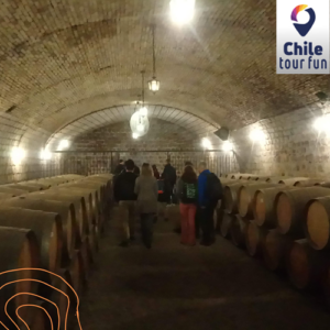 Viña Undurraga y Concha y Toro Clásico Compartido