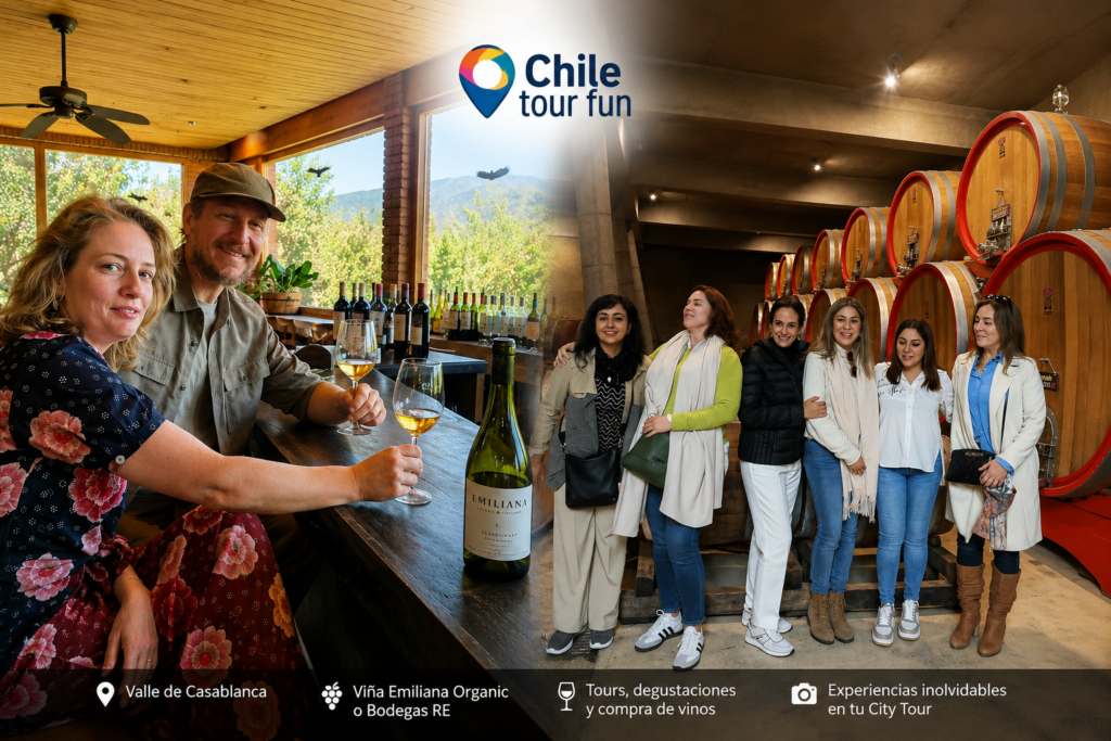 Turistas disfrutando una degustación de vinos en Viña Emiliana Organic y recorrido por Bodegas RE durante el City Tour Valparaíso y Viña del Mar desde Santiago.