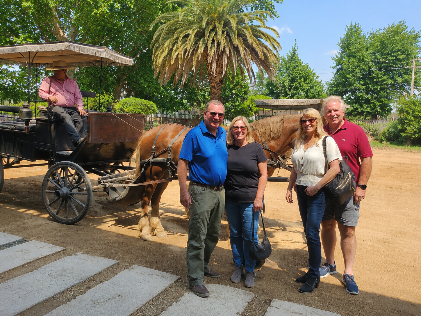 Turistas disfrutando de un paseo en carruaje entre los viñedos de Viña Viu Manent durante un tour privado por el Valle de Colchagua.