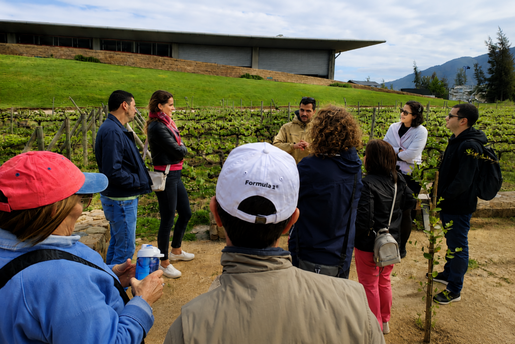 Recorrido guiado por los viñedos de Viña Montes durante la experiencia Doble Ícono en el Valle de Colchagua, Chile.