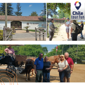 Viu Manent y Viña Montes Chile