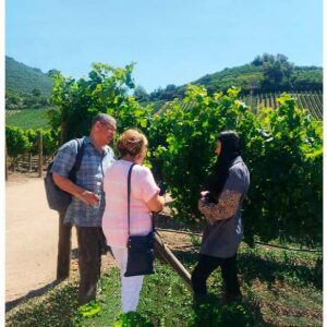 Tour Viña Errázuriz Chile recorrido por viñedo con guía desde Santiago