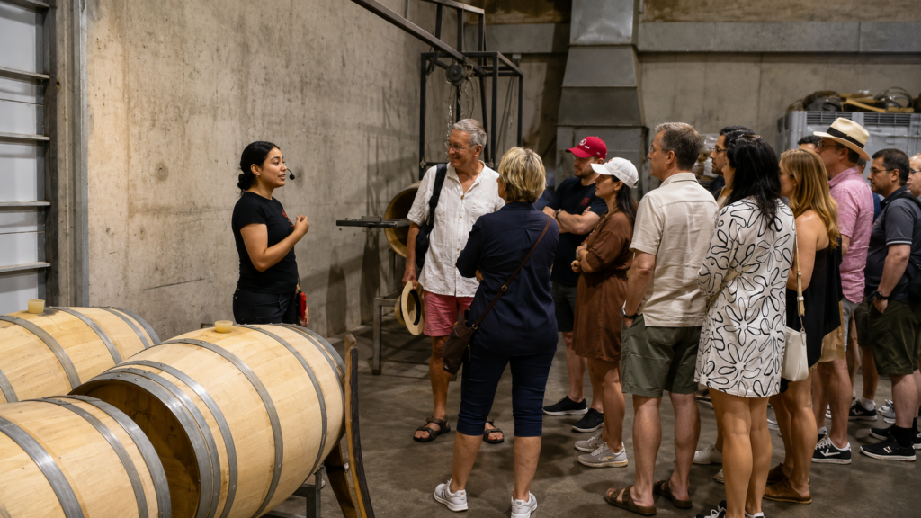 Recorrido guiado por el área de elaboración de vinos en Viña Vik durante un tour privado desde Santiago.